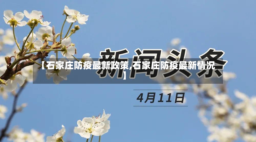 【石家庄防疫最新政策,石家庄防疫最新情况】