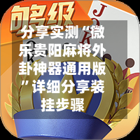 分享实测“微乐贵阳麻将外卦神器通用版	”详细分享装挂步骤-第2张图片