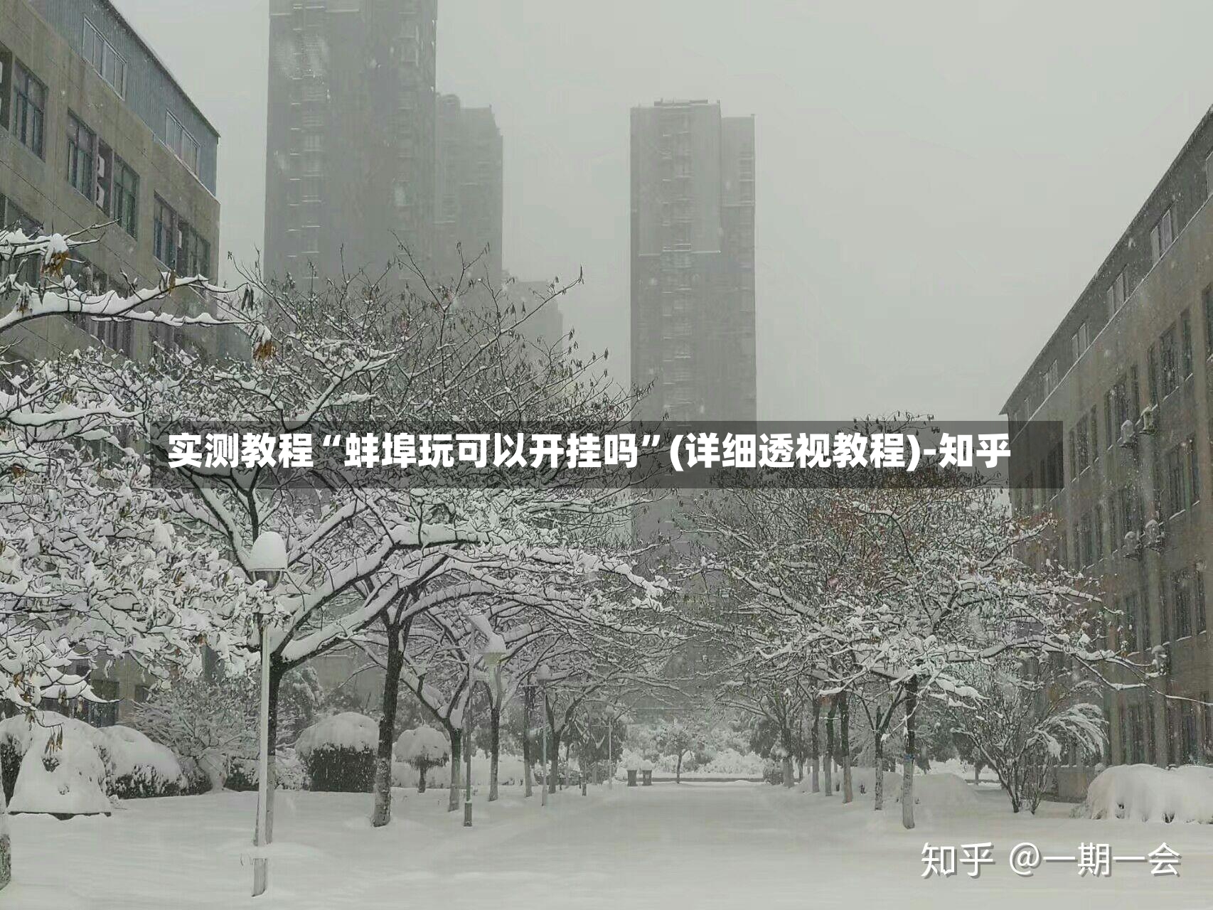 实测教程“蚌埠玩可以开挂吗	”(详细透视教程)-知乎-第3张图片