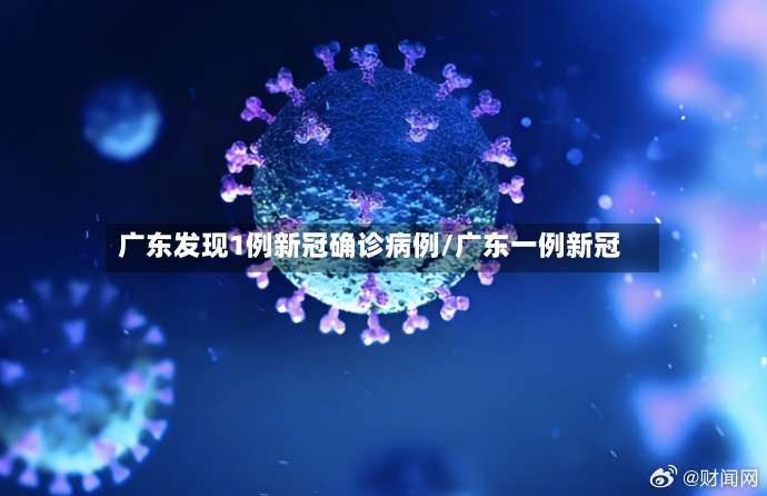 广东发现1例新冠确诊病例/广东一例新冠-第3张图片