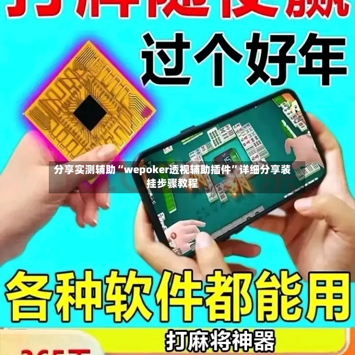 分享实测辅助“wepoker透视辅助插件”详细分享装挂步骤教程-第2张图片