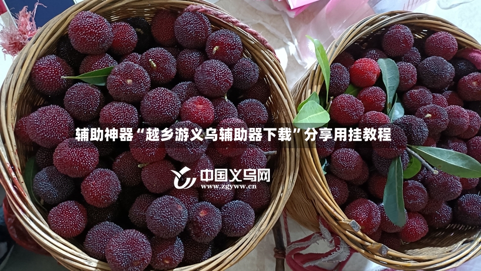 辅助神器“越乡游义乌辅助器下载	”分享用挂教程-第2张图片