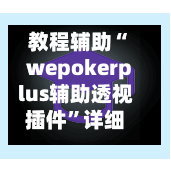 教程辅助“wepokerplus辅助透视插件”详细分享装挂步骤教程-第2张图片