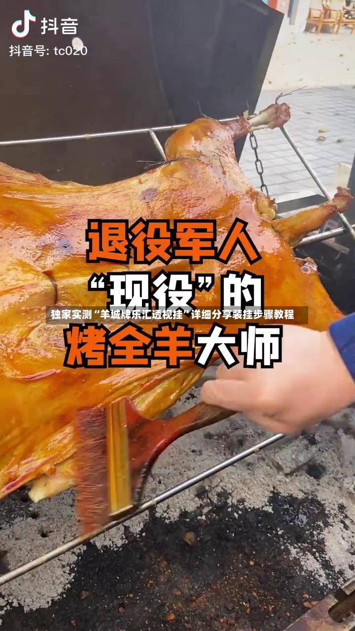 独家实测“羊城牌乐汇透视挂”详细分享装挂步骤教程-第3张图片
