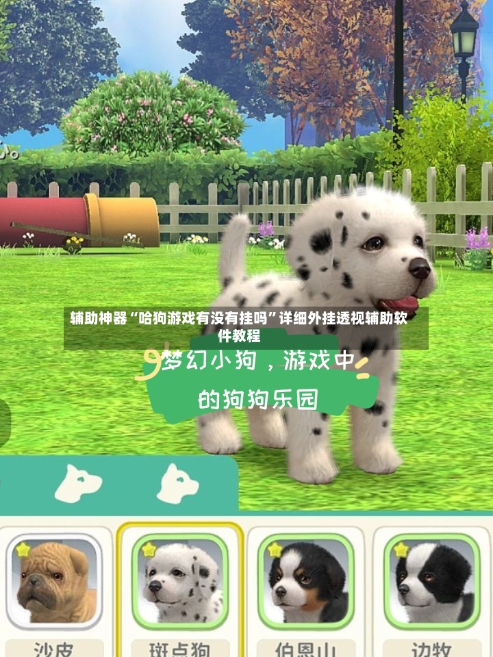 辅助神器“哈狗游戏有没有挂吗	”详细外挂透视辅助软件教程-第2张图片