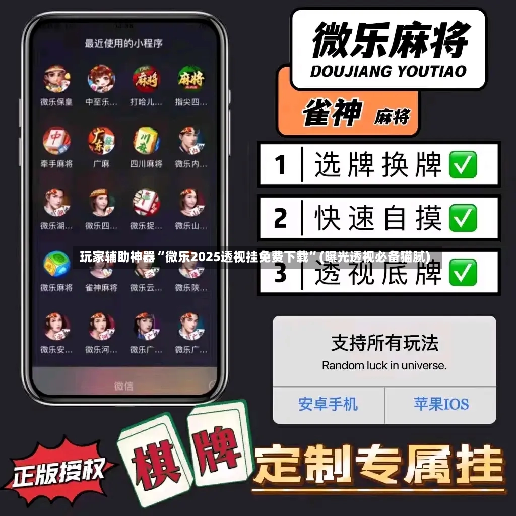 玩家辅助神器“微乐2025透视挂免费下载”(曝光透视必备猫腻)-第3张图片