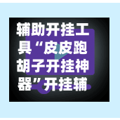 辅助开挂工具“皮皮跑胡子开挂神器”开挂辅助脚本+详细开挂-第2张图片