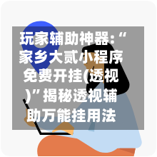 玩家辅助神器:“家乡大贰小程序免费开挂(透视)”揭秘透视辅助万能挂用法-第2张图片