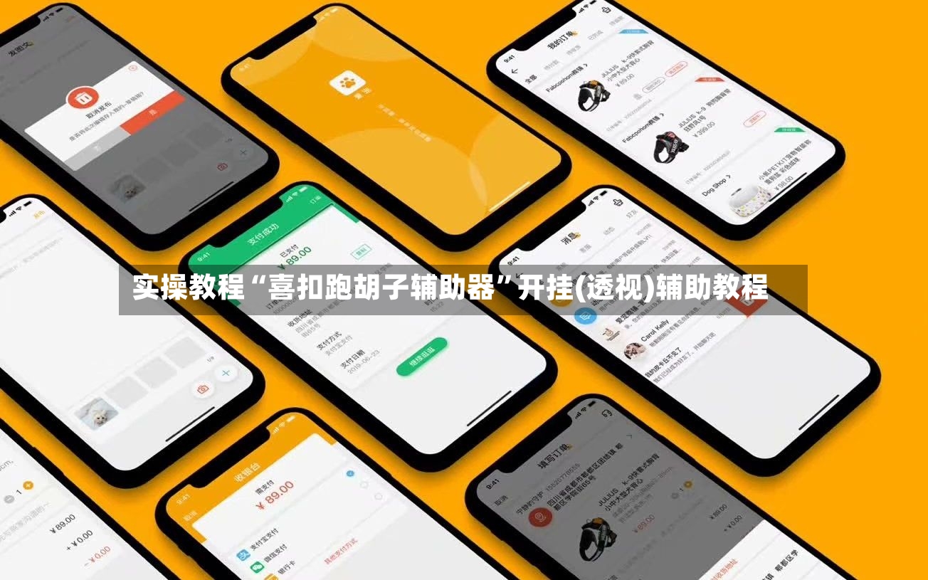 实操教程“喜扣跑胡子辅助器”开挂(透视)辅助教程-第2张图片