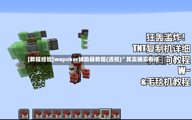 [教程经验]wepoker辅助器教程(透视)”其实确实有挂-第2张图片