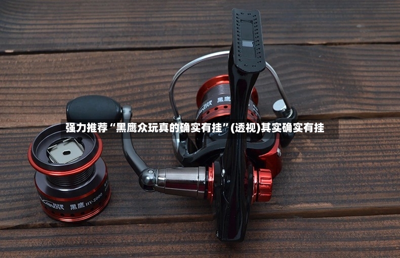 强力推荐“黑鹰众玩真的确实有挂”(透视)其实确实有挂-第3张图片