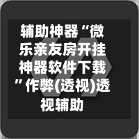 辅助神器“微乐亲友房开挂神器软件下载	”作弊(透视)透视辅助-第2张图片