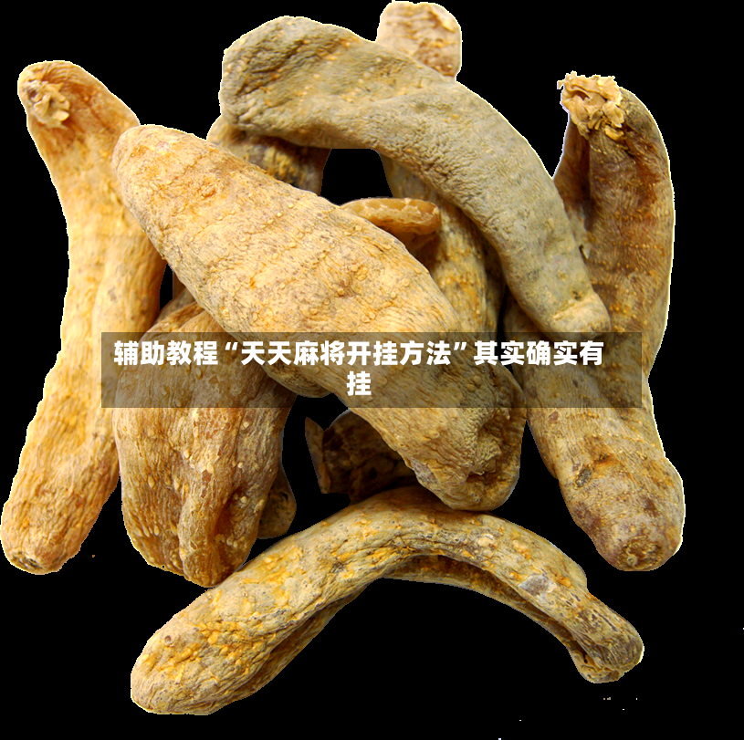 辅助教程“天天麻将开挂方法”其实确实有挂-第3张图片