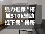 强力推荐“榕城510k辅助挂下载”揭秘透视辅助万能挂用法-第3张图片