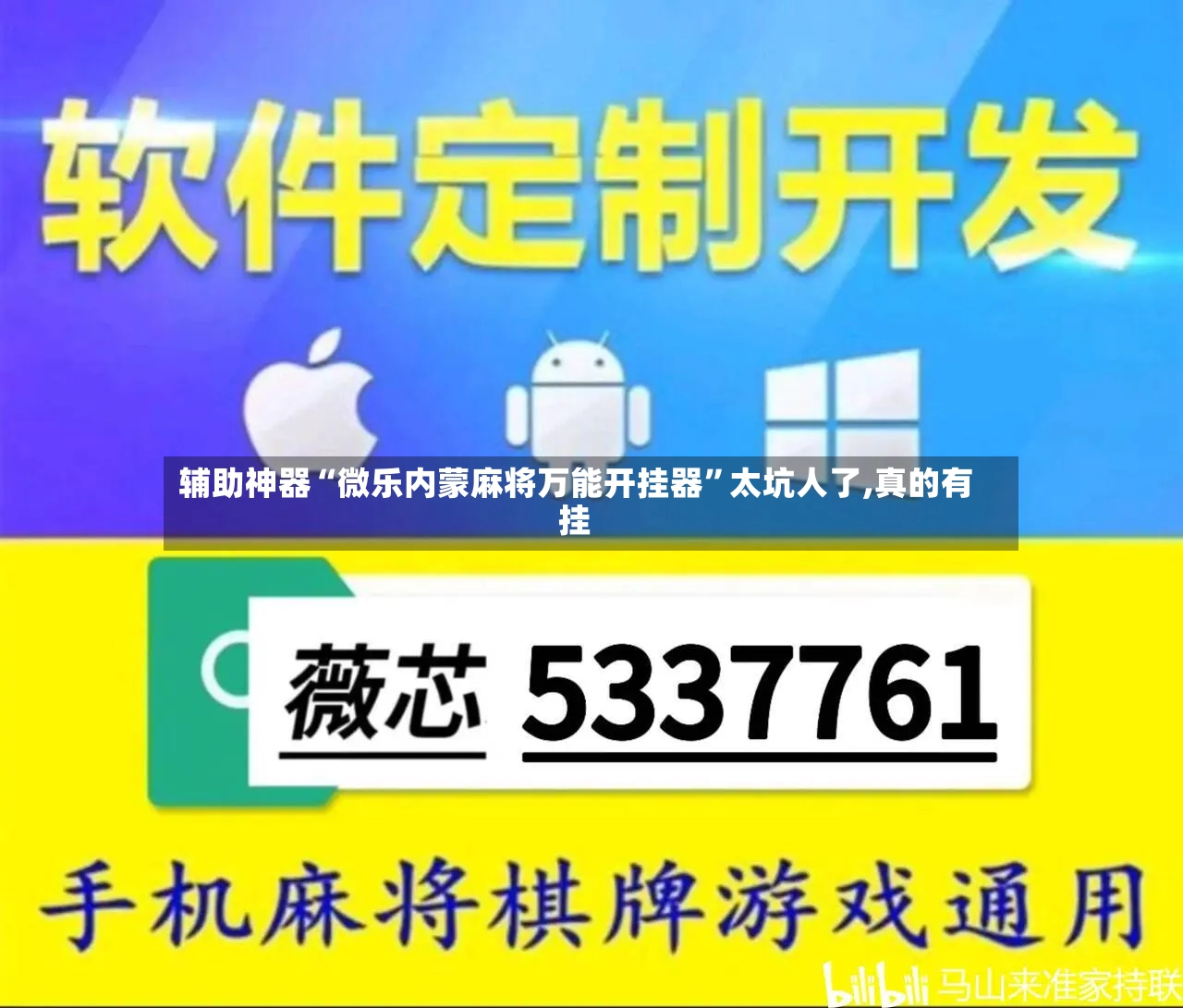 辅助神器“微乐内蒙麻将万能开挂器	”太坑人了,真的有挂-第2张图片