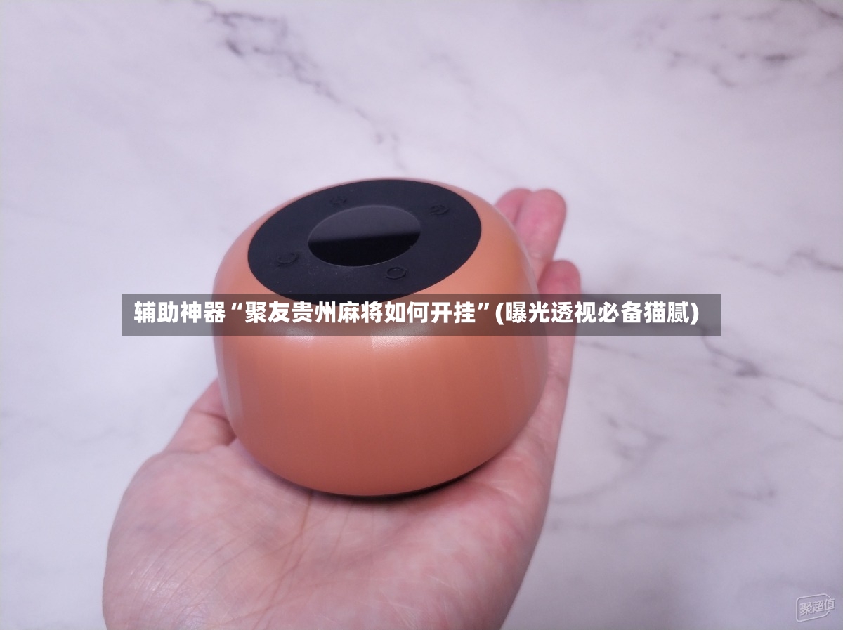 辅助神器“聚友贵州麻将如何开挂”(曝光透视必备猫腻)-第2张图片