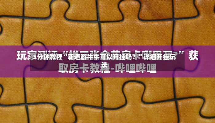 3分钟教程“新道游牛牛可以开挂吗？”详细开挂玩法-第2张图片