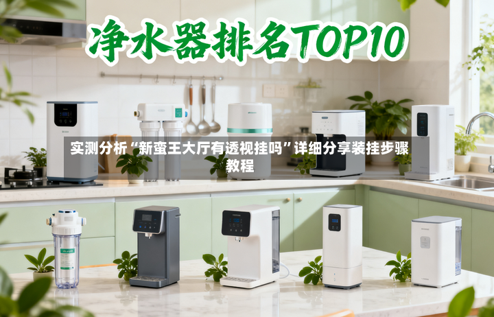 实测分析“新蛮王大厅有透视挂吗”详细分享装挂步骤教程-第3张图片