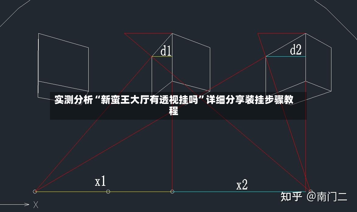 实测分析“新蛮王大厅有透视挂吗	”详细分享装挂步骤教程-第2张图片