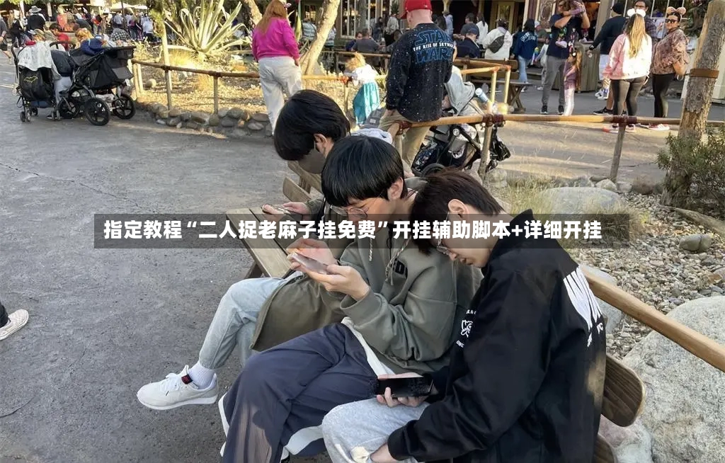指定教程“二人捉老麻子挂免费”开挂辅助脚本+详细开挂-第2张图片