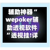 辅助神器“wepoker辅助透视软件”透视挂!详细分享装挂步骤