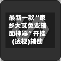 最新一款“家乡大贰免费辅助神器”开挂(透视)辅助-第2张图片