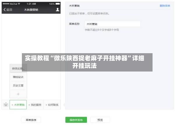 实操教程“微乐陕西捉老麻子开挂神器	”详细开挂玩法-第2张图片