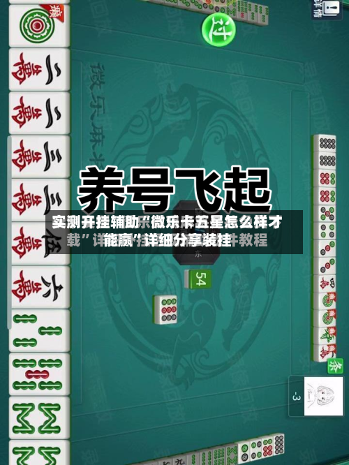 实测开挂辅助“微乐卡五星怎么样才能赢	”详细分享装挂-第2张图片