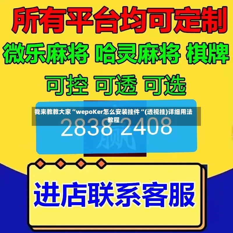 我来教教大家“wepoKer怎么安装挂件“(透视挂)详细用法教程-第2张图片