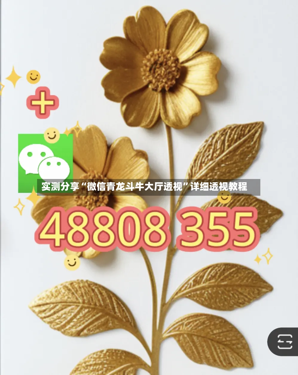 实测分享“微信青龙斗牛大厅透视”详细透视教程-第2张图片