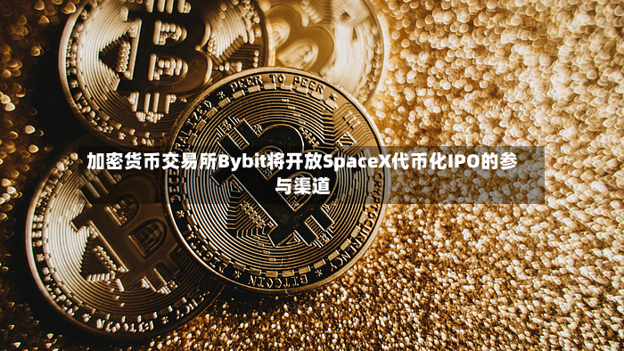 加密货币交易所Bybit将开放SpaceX代币化IPO的参与渠道-第2张图片