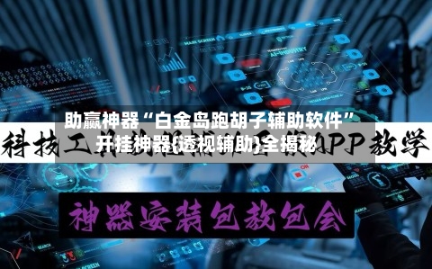 助赢神器“白金岛跑胡子辅助软件”开挂神器{透视辅助}全揭秘-第2张图片