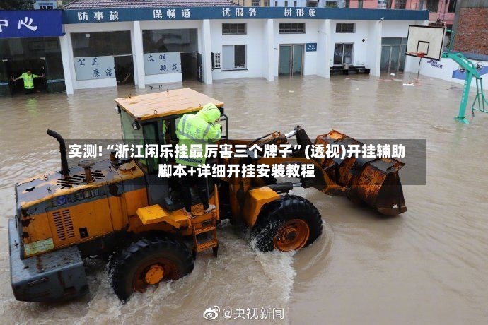 实测!“浙江闲乐挂最厉害三个牌子”(透视)开挂辅助脚本+详细开挂安装教程-第3张图片
