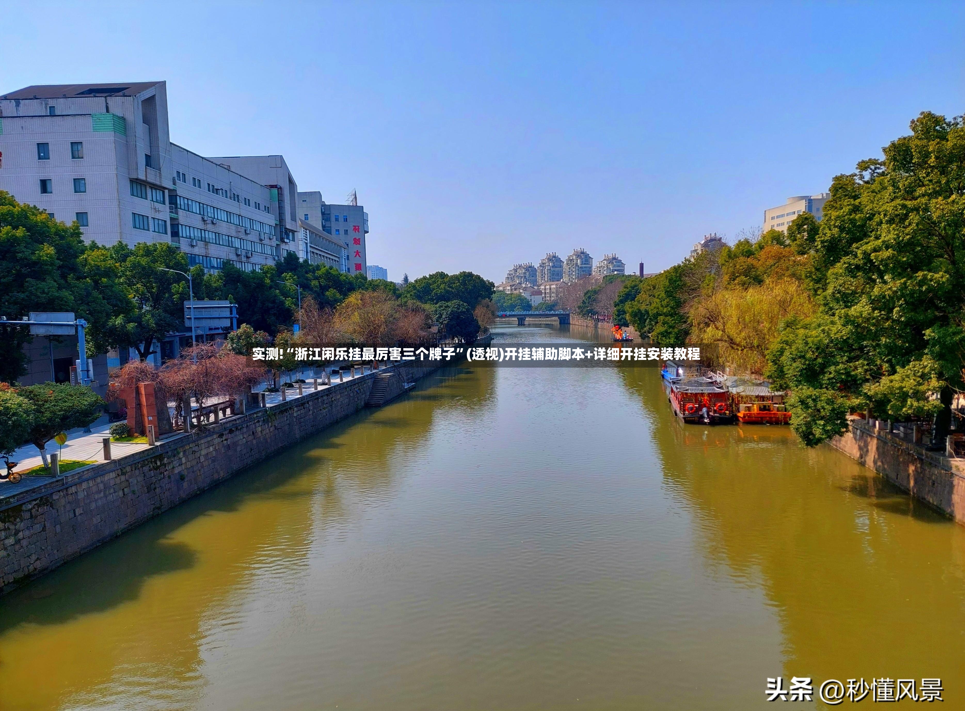 实测!“浙江闲乐挂最厉害三个牌子”(透视)开挂辅助脚本+详细开挂安装教程-第2张图片