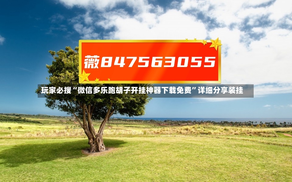 玩家必搜“微信多乐跑胡子开挂神器下载免费”详细分享装挂