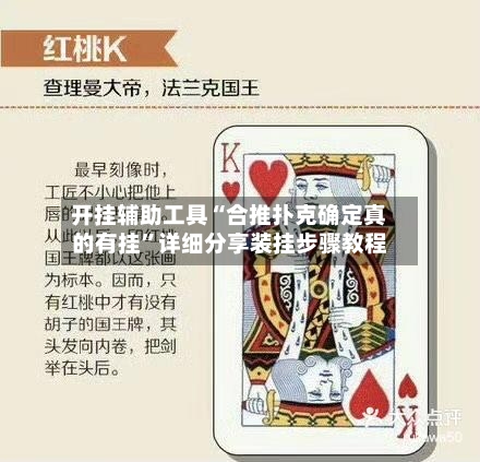 开挂辅助工具“合推扑克确定真的有挂”详细分享装挂步骤教程-第3张图片