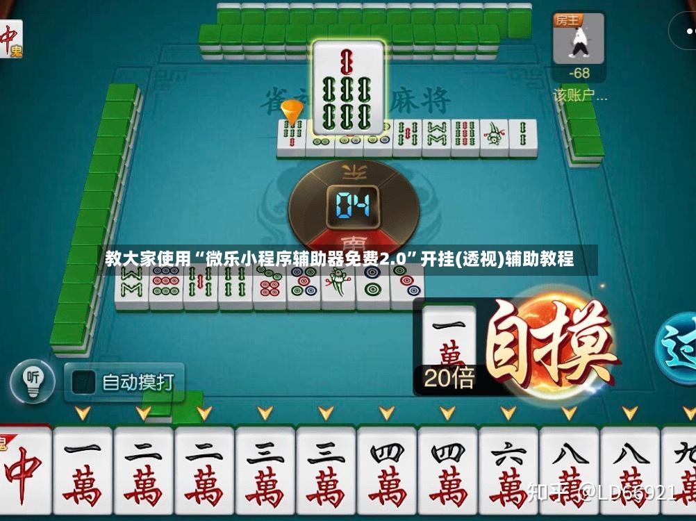教大家使用“微乐小程序辅助器免费2.0	”开挂(透视)辅助教程-第2张图片
