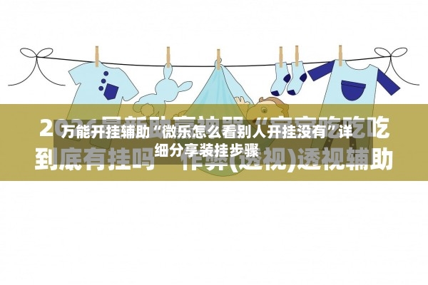 万能开挂辅助“微乐怎么看别人开挂没有”详细分享装挂步骤-第2张图片