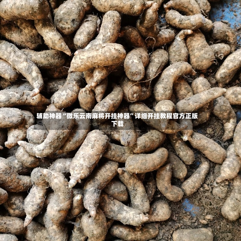 辅助神器“微乐云南麻将开挂神器”详细开挂教程官方正版下载-第2张图片