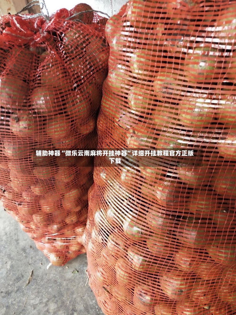 辅助神器“微乐云南麻将开挂神器”详细开挂教程官方正版下载