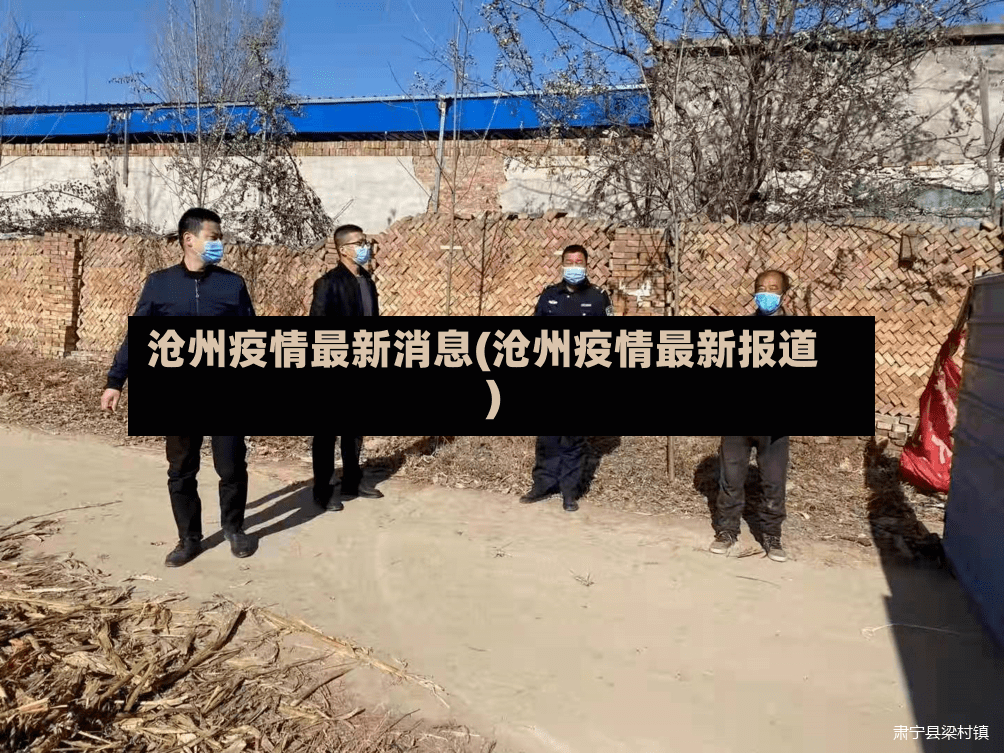 沧州疫情最新消息(沧州疫情最新报道)-第2张图片