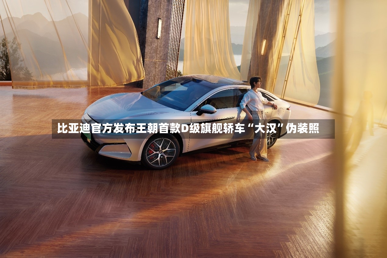 比亚迪官方发布王朝首款D级旗舰轿车“大汉”伪装照-第3张图片