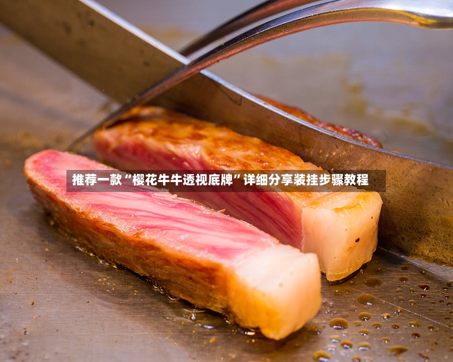 推荐一款“樱花牛牛透视底牌”详细分享装挂步骤教程-第2张图片