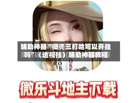 辅助神器“微壳三打哈可以开挂吗”（透视挂）辅助神器教程-第2张图片