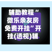 辅助教程“微乐亲友房免费开挂”开挂(透视)辅助神器-第3张图片