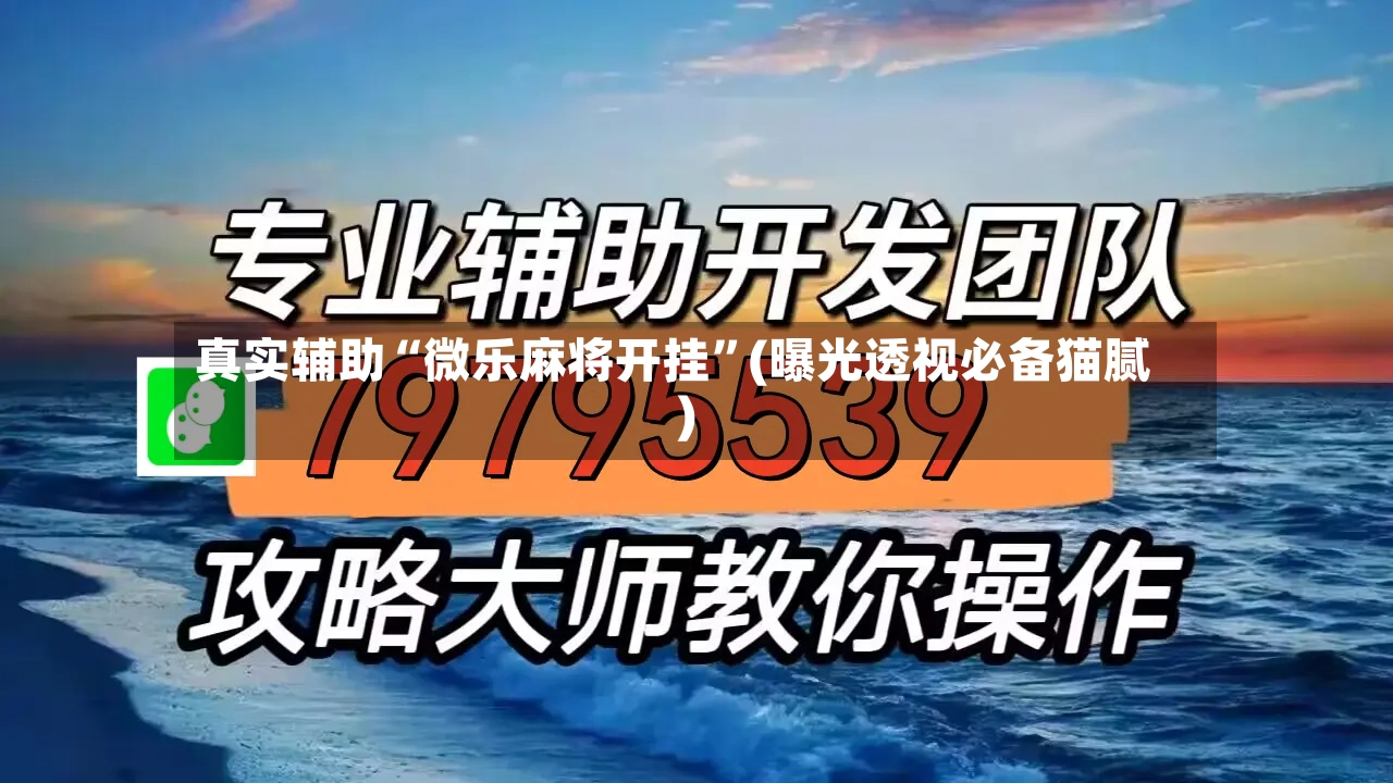 真实辅助“微乐麻将开挂”(曝光透视必备猫腻)