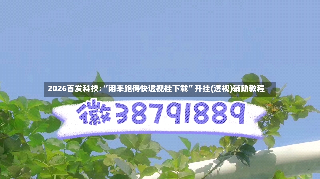 2026首发科技:“闲来跑得快透视挂下载	”开挂(透视)辅助教程-第3张图片