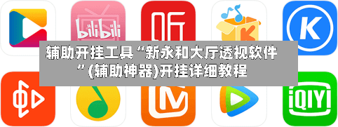 辅助开挂工具“新永和大厅透视软件”(辅助神器)开挂详细教程-第3张图片