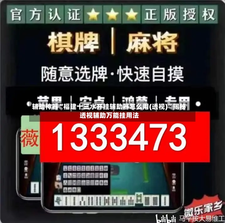 辅助神器“福建十三水开挂辅助器怎么用(透视)”揭秘透视辅助万能挂用法-第3张图片