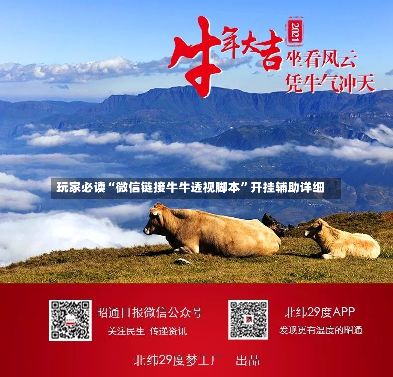 玩家必读“微信链接牛牛透视脚本	”开挂辅助详细-第3张图片